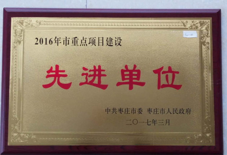 17-3-2016年度市重點(diǎn)項(xiàng)目建設(shè)先進(jìn)單位.jpg